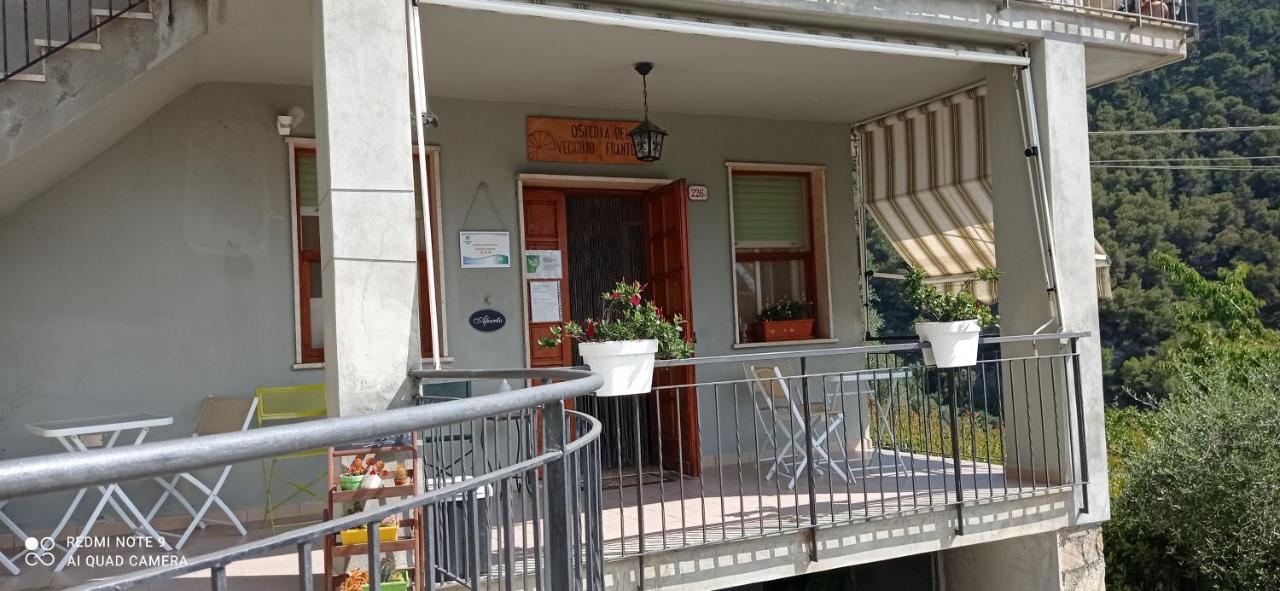 Agriturismo Vecchio Frantoio Villatella Экстерьер фото