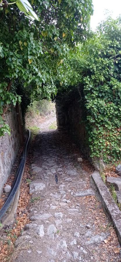 Agriturismo Vecchio Frantoio Villatella Экстерьер фото