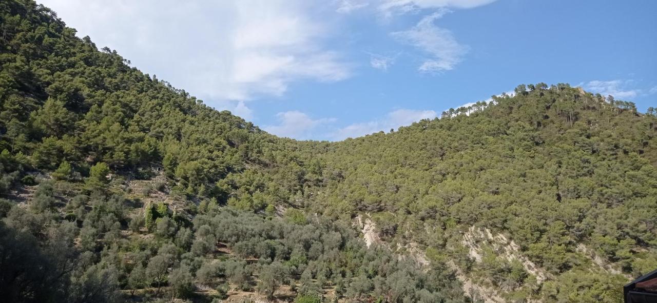 Agriturismo Vecchio Frantoio Villatella Экстерьер фото